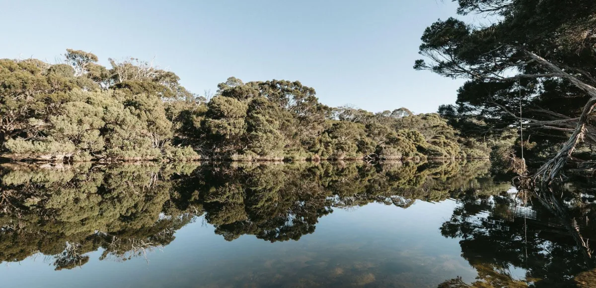 Chapman River