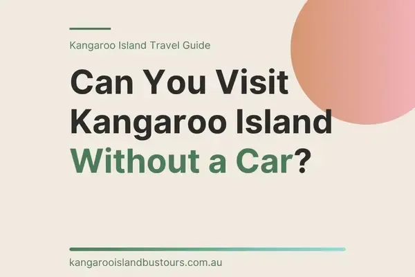 Can You Visit Kangaroo Island Without a Car?
