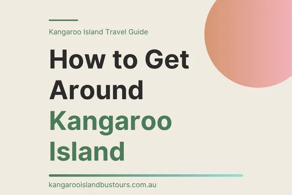 How to Get Around Kangaroo Island: Car, Tours or Transfers?