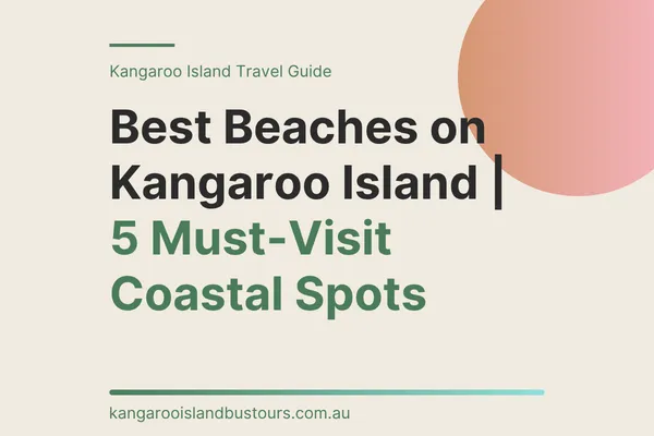 Best Beaches on Kangaroo Island | 5 Must-Visit Coastal Spots