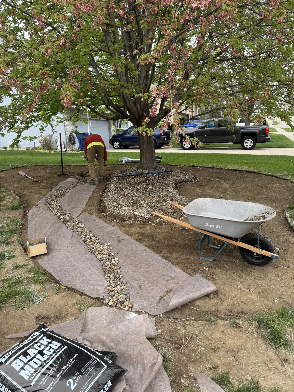 husker-turf-restoration