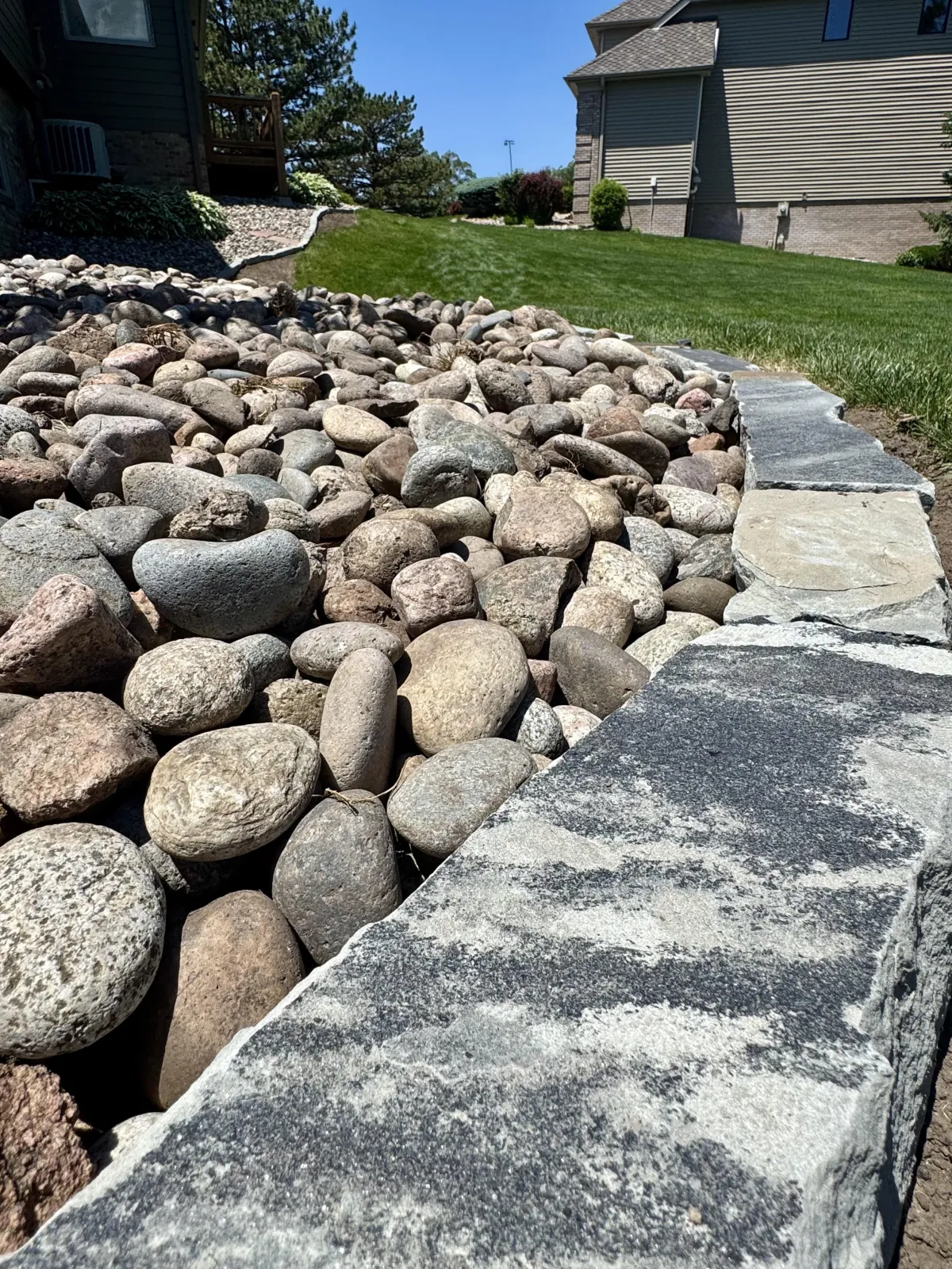 husker-turf-restoration