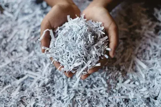A person is holding a pile of shredded paper in their hands.