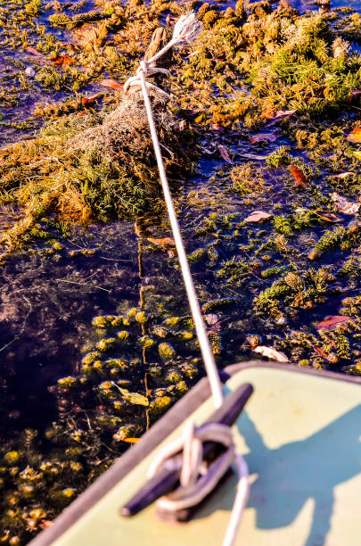 Abilene Pond Cleaning & Water Feature
