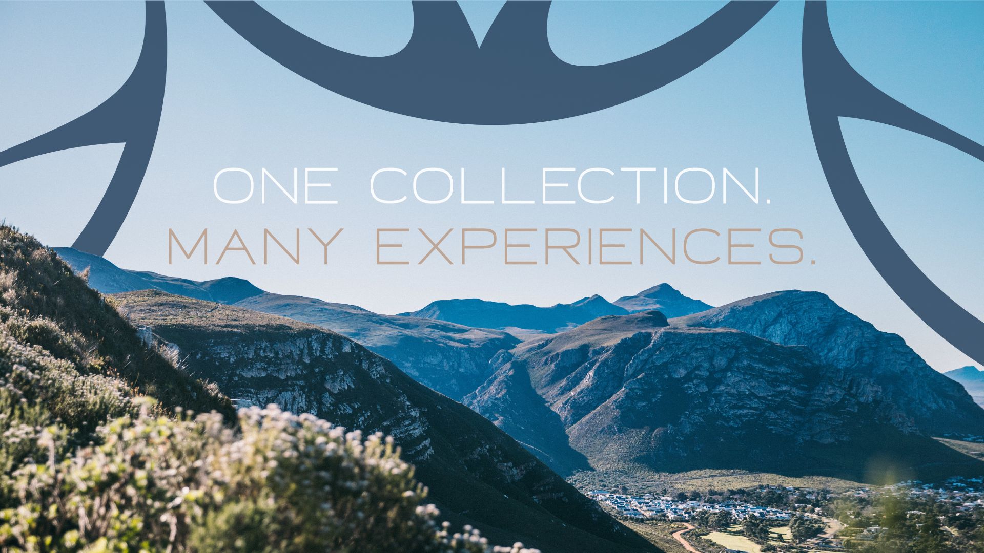 Discover Spectrum Collection: One Collection, Many Experiences