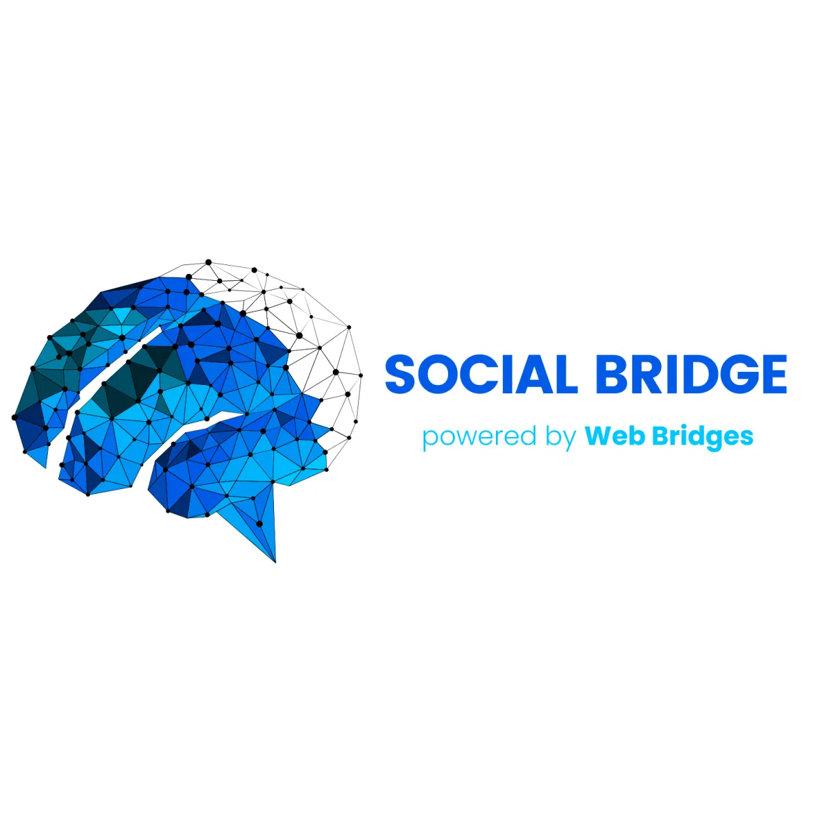 Social Bridge Social Media Scheduling Platform Logo