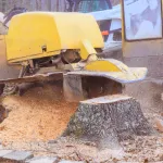 Stump Removal in Louisville