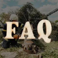 Local Tree Service Louisville