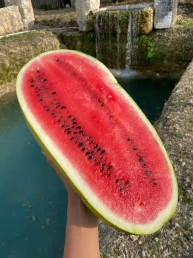 Seeded Watermelon freshly sliced