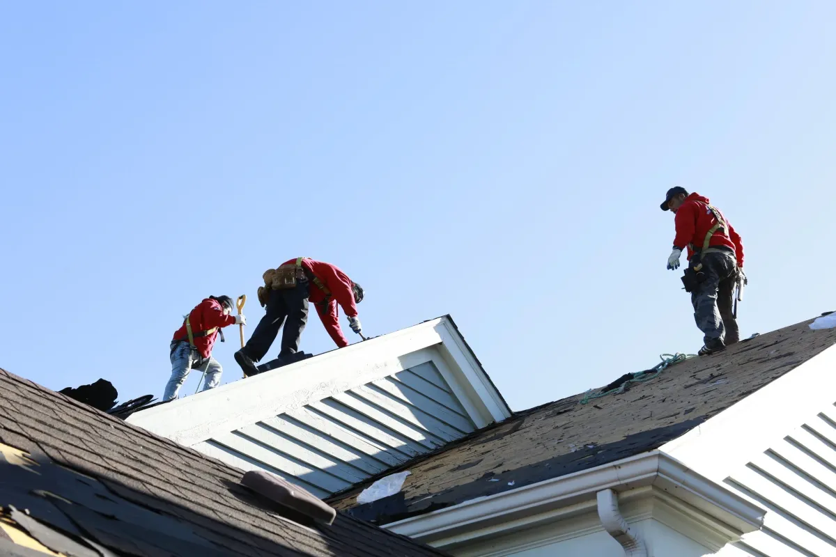 Roofing crew installing black asphalt shingles on a residential home under bright blue skies.