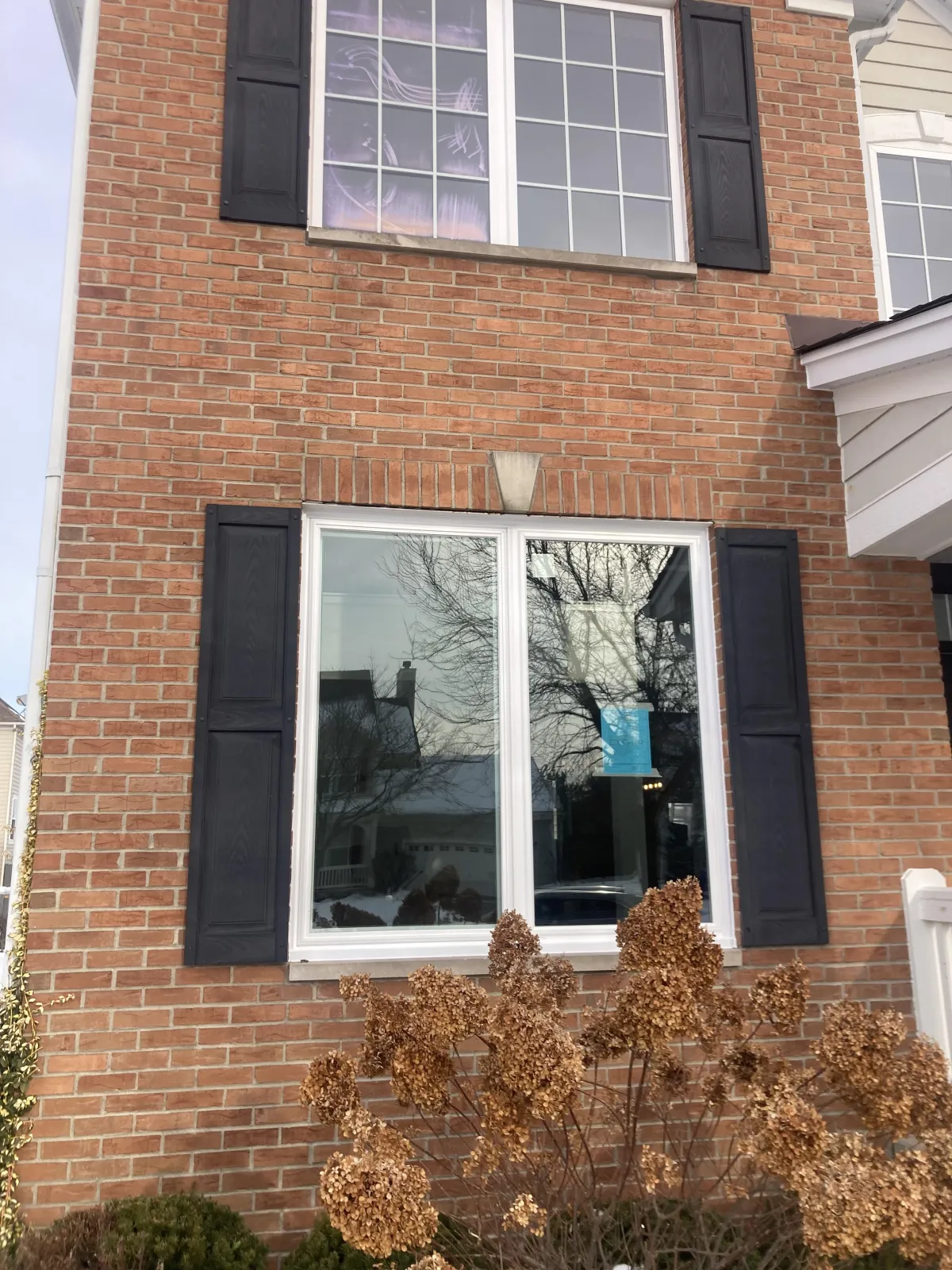 Wood Windows Replacement Plainfield, IL