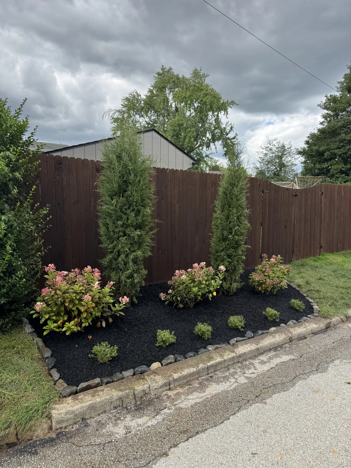 Stone-edged mulch bed with tall evergreens, pink flowering shrubs, and small border plants beside a wooden fence.