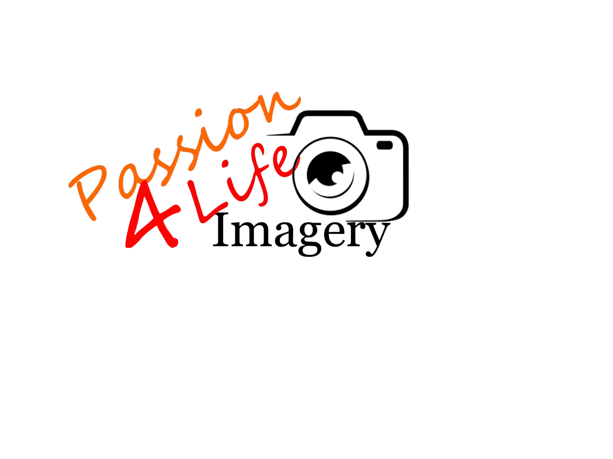 Photography Logo