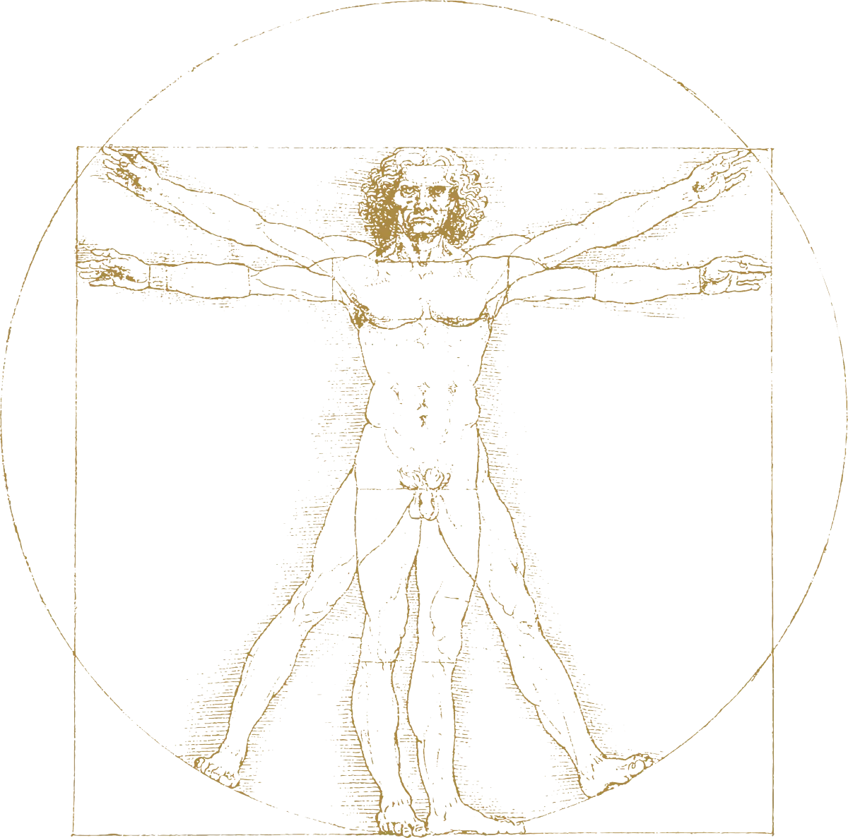 Vitality Maestro - Vitality Revival - 21-Day Challenge - Vitruvian Man - Health Reclamation