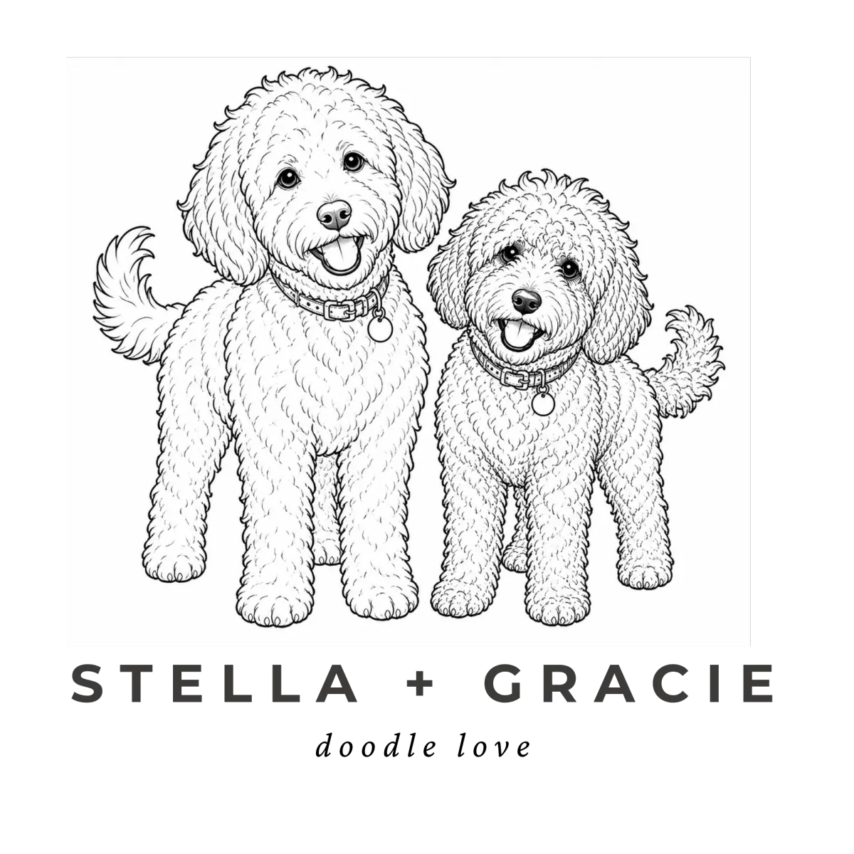 Brand Logo