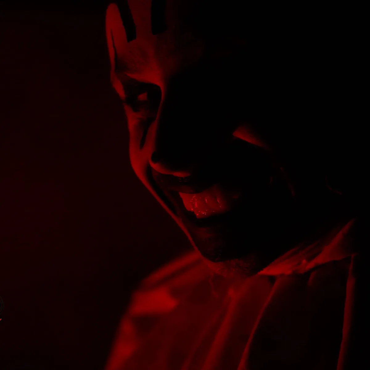 silhouette of pine trees