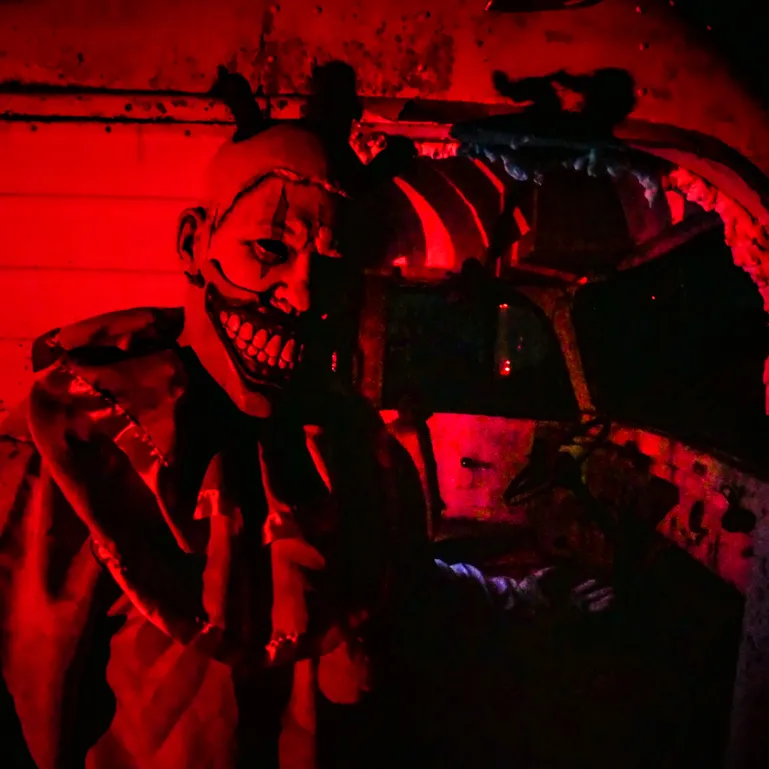 a path with leaves on the ground