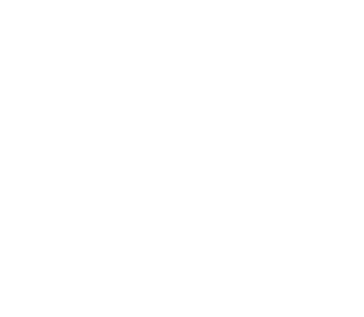 Dan McWhorter Real Estate SInce 1998 Logo