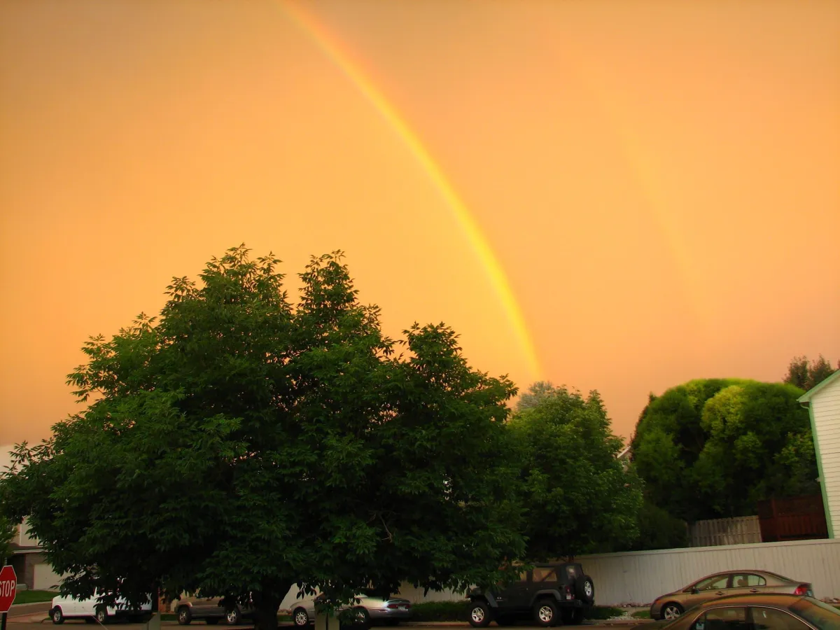 rainbow over trees