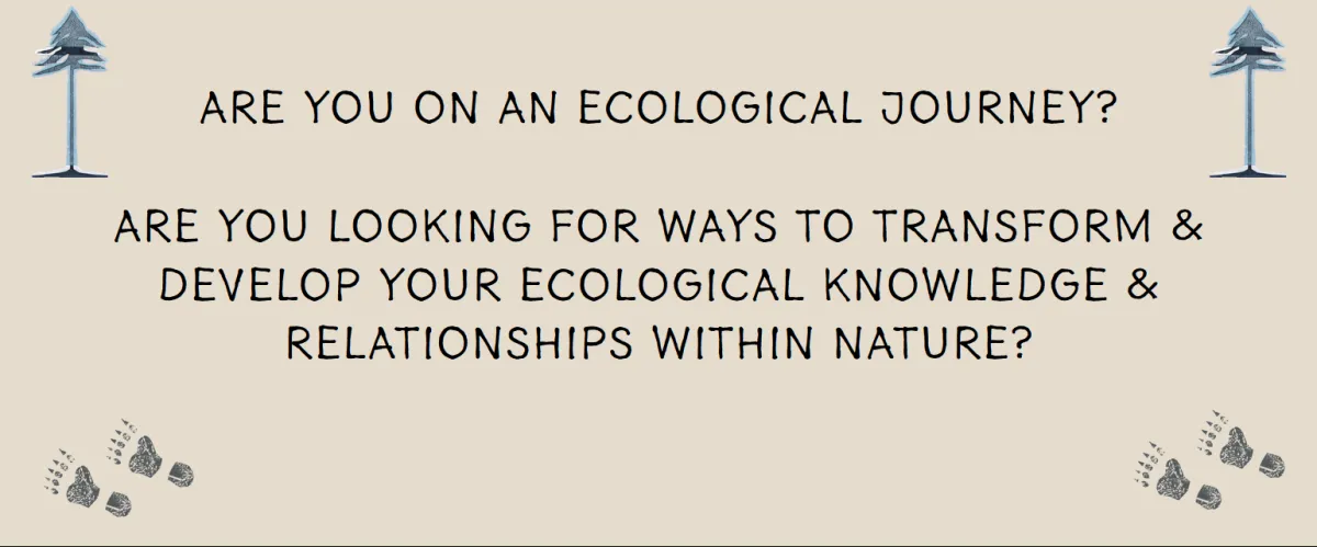 Graphic with pine trees and pawprints: Are You On An Ecological Journey?