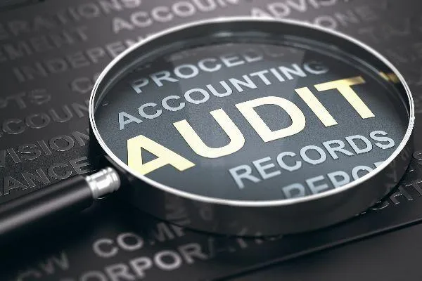 cra audit help ensures no details are missed