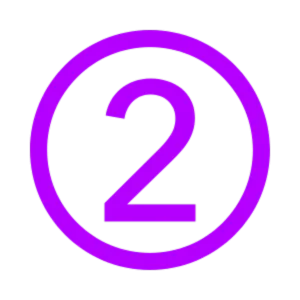 Step 2 Icon