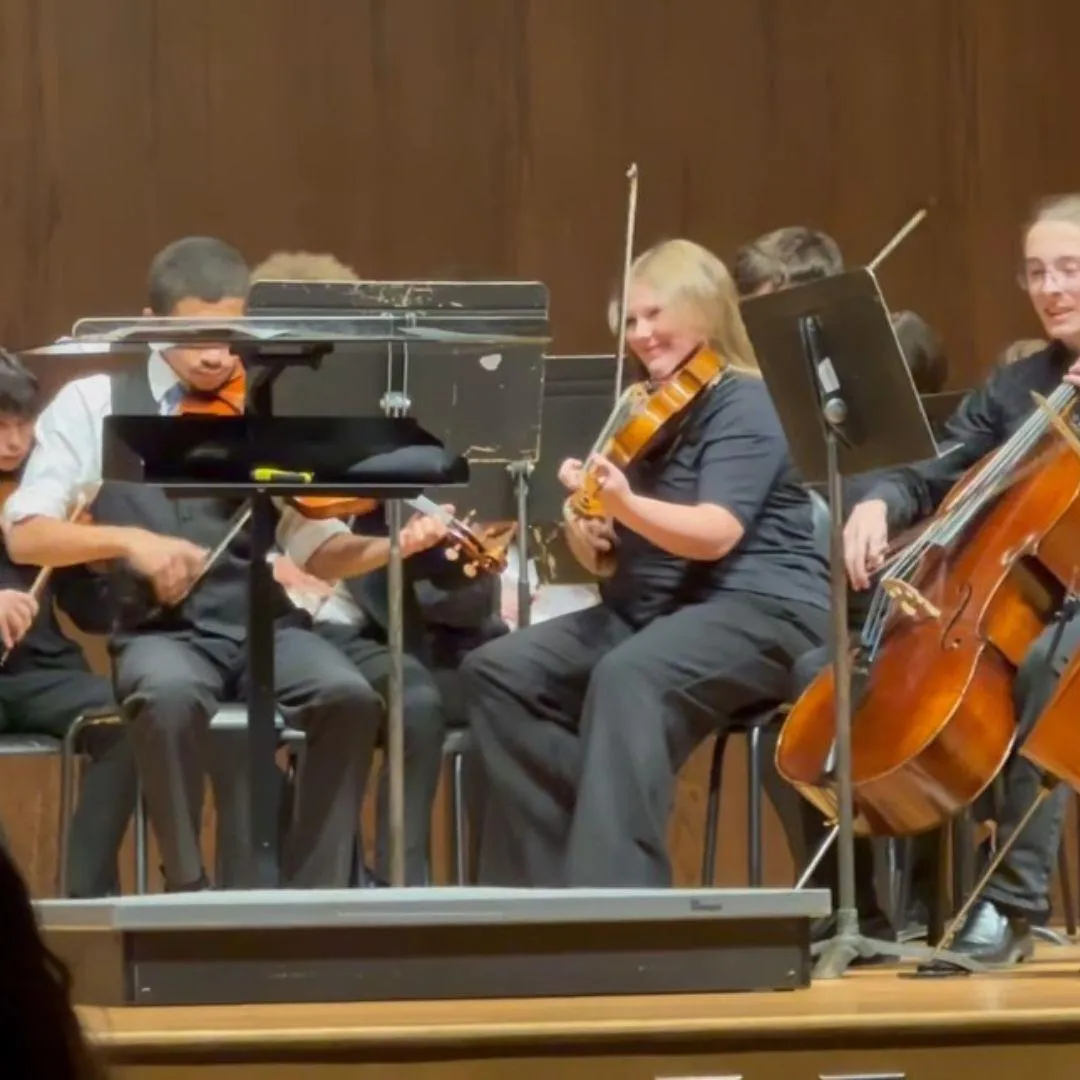 viola lessons violin lessons stewartstown viola