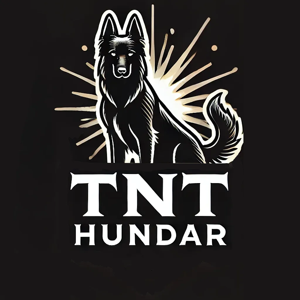 TNT Hundar
