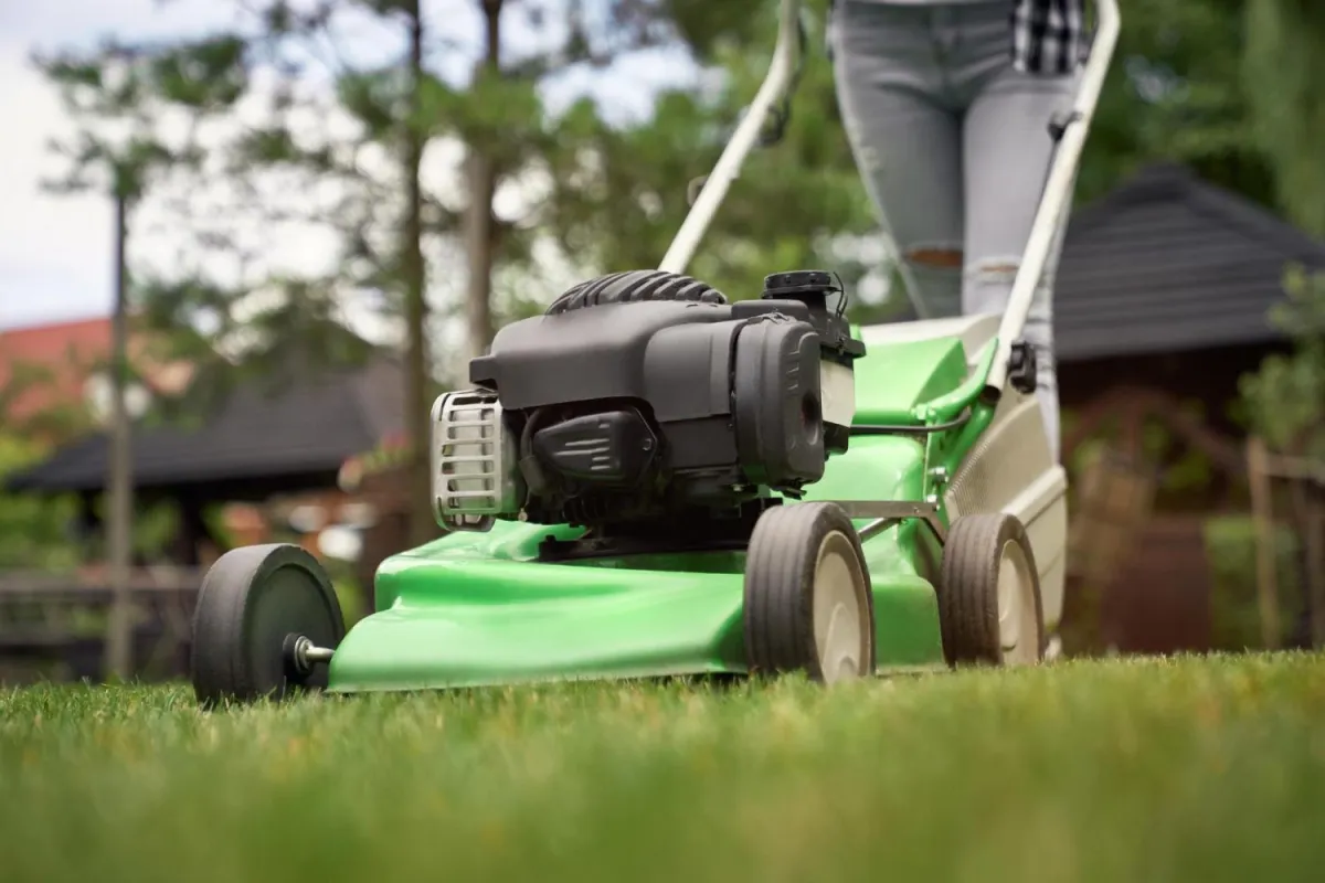 Lush green lawn bordered by mulch and plants, showcasing lawn care services.