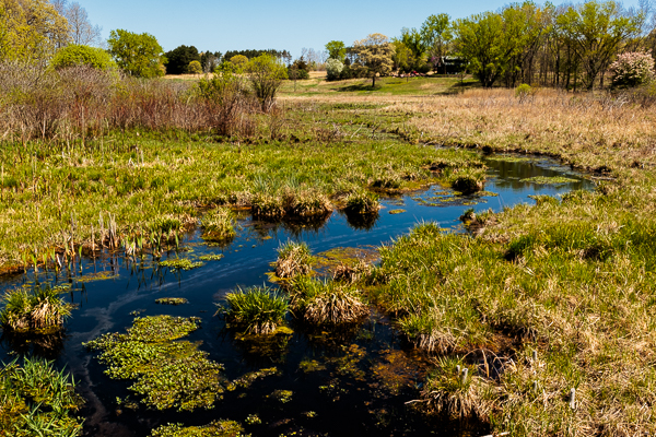 A Small Creek, A National Impact