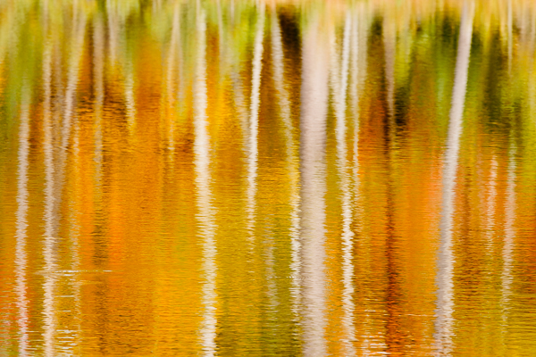 Reflections