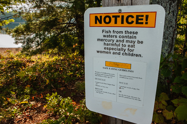 Sign posted by a northern Wisconsin lake telling of the hazard of eating fish from the lake
