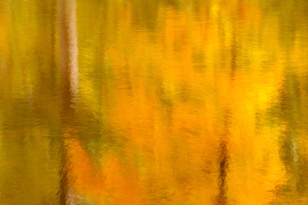 Reflection of autumn shoreline in river