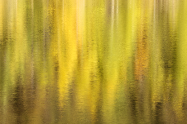 Photography Creating Musical Compositions