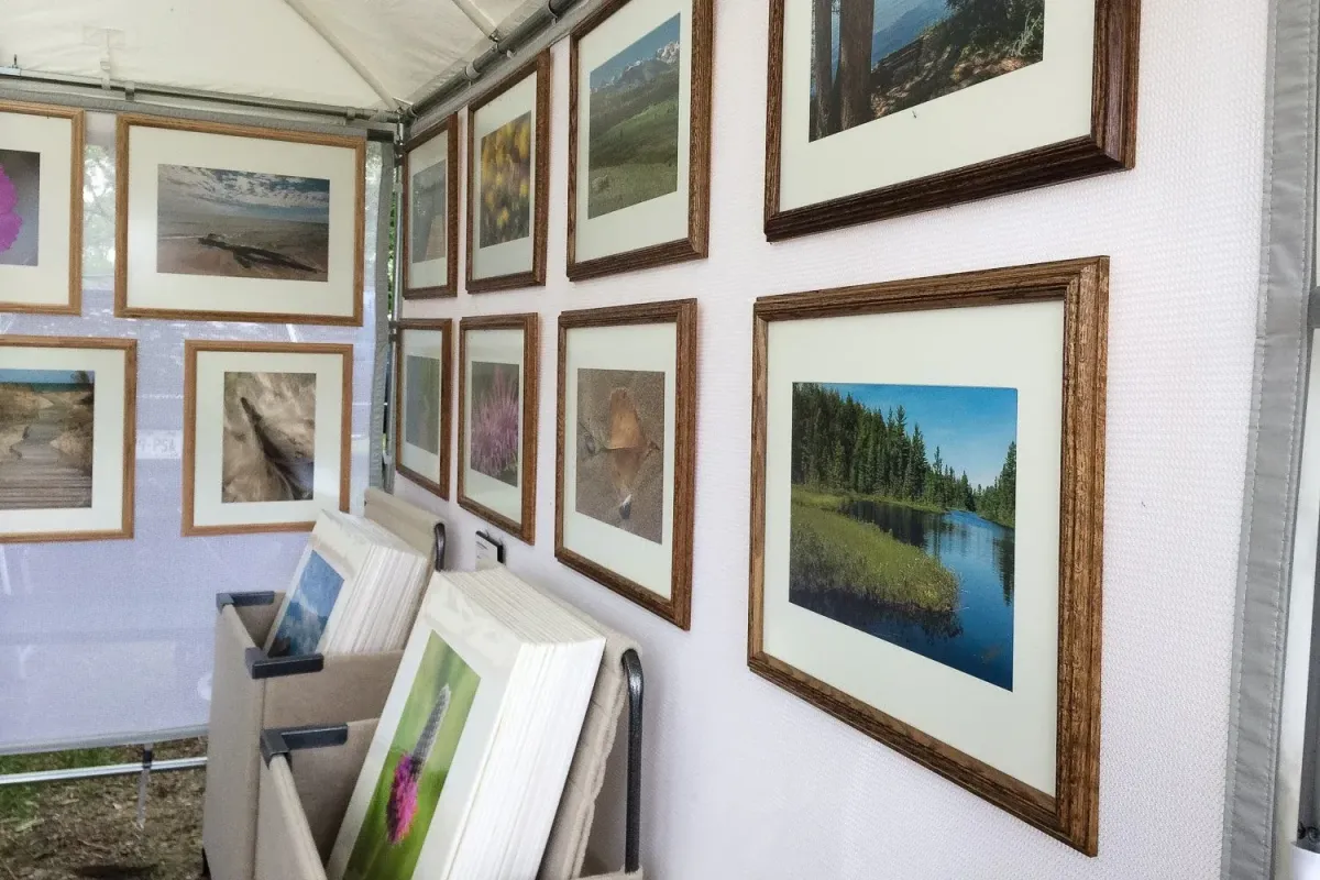 Art Show Display Panels