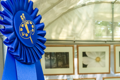 Blue ribbon awarded at an art show, hanging in the artist's booth