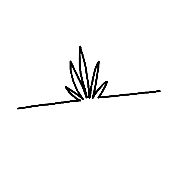 Cannabis Leaf Tattoo