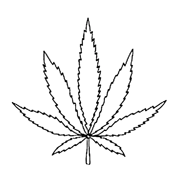 Cannabis Leaf Tattoo