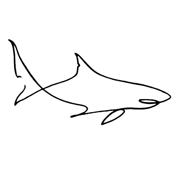 Shark Silhouette Tattoo