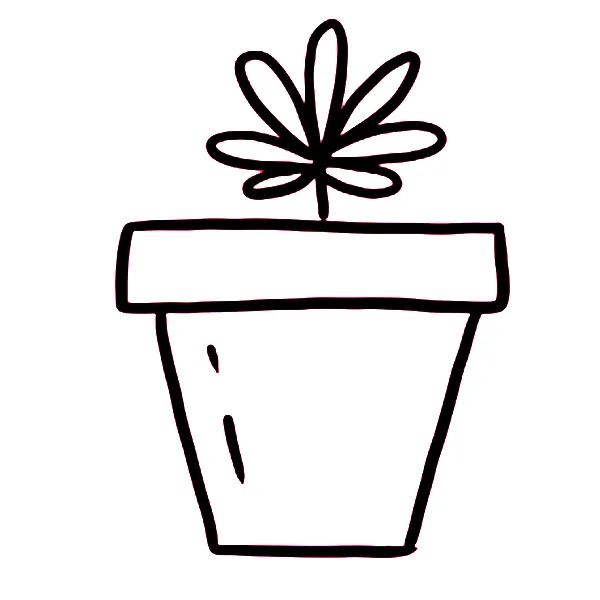 Cannabis Plant Tattoo