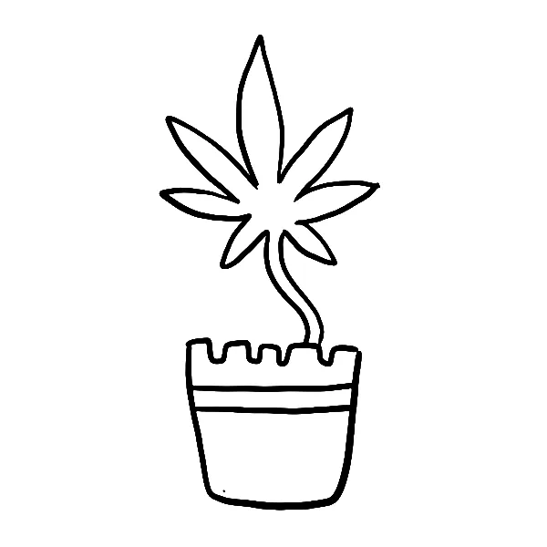 420 Cannabis plant Tattoo