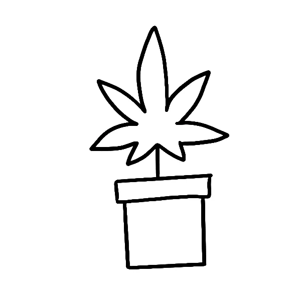 Cannabis Plant tattoo
