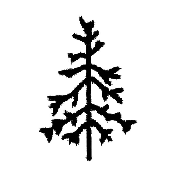 Tree tattoo.