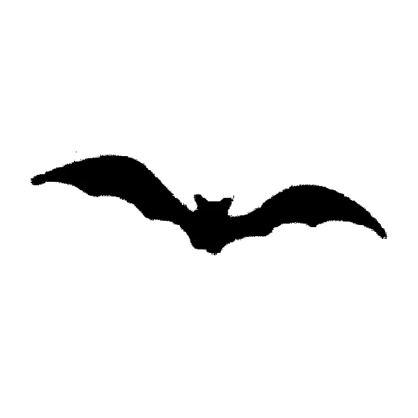 Bat tattoo.