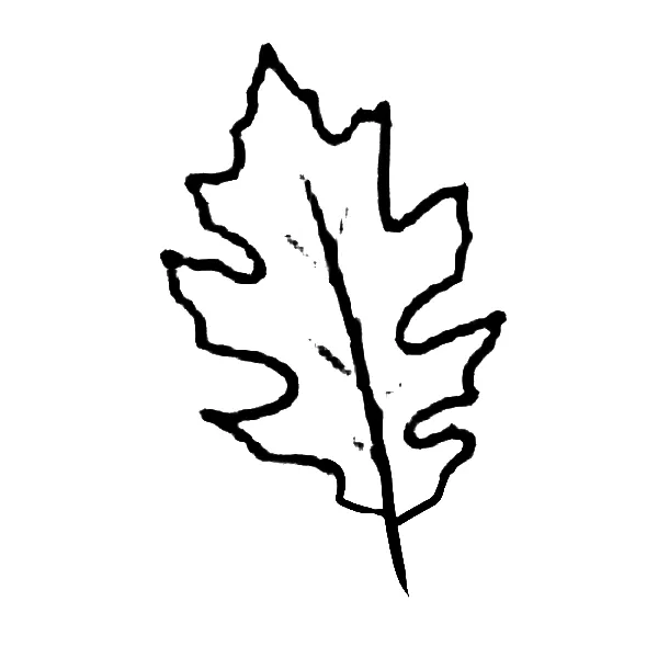 Leaf tattoo