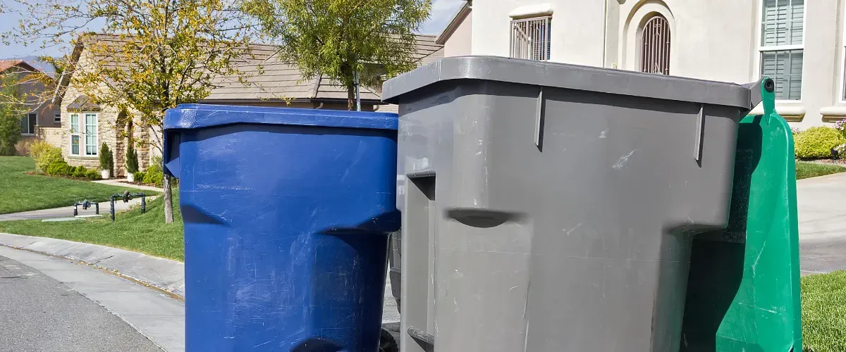 Residential trash bins lined up at the curb in a suburban neighborhood on collection day.