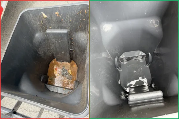 What Bacteria Lives Inside Your Garbage Can? The Hidden Health Risks Most Homeowners Ignore