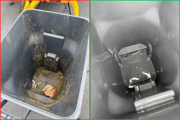 How to Get Rid of Trash Can Smell (and Maggots) — The Florida Homeowner's Guide
