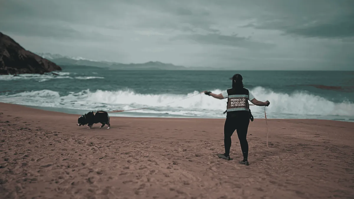 ¿Qué es el Mantrailing? Mantrailing terapéutico en Banyeres de Mariola, Alicante.