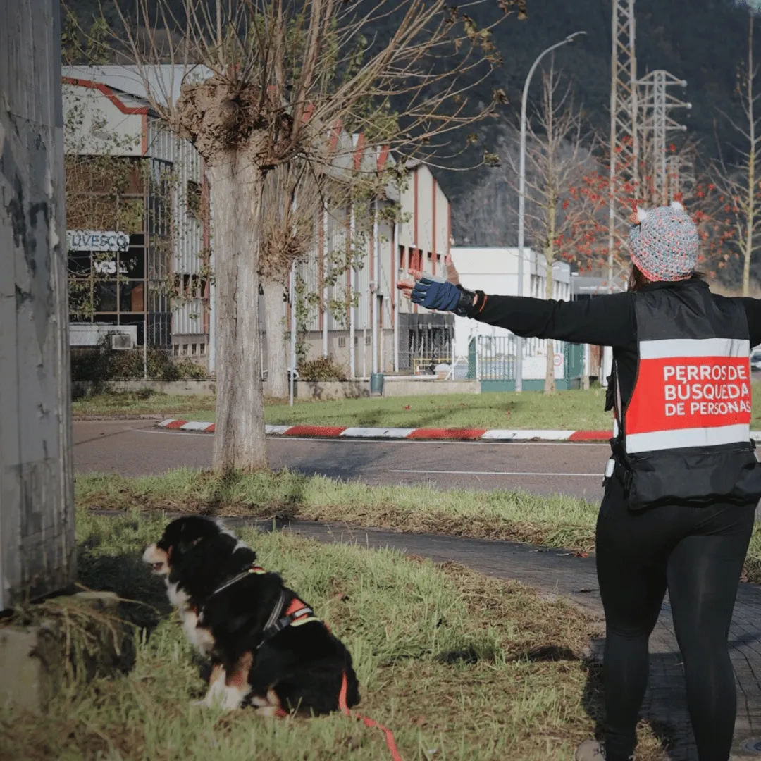 Mantrailing terapéutico beneficios perros reactivos Alicante